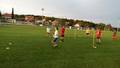 Standardni trening